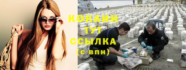 гидропоника Медногорск